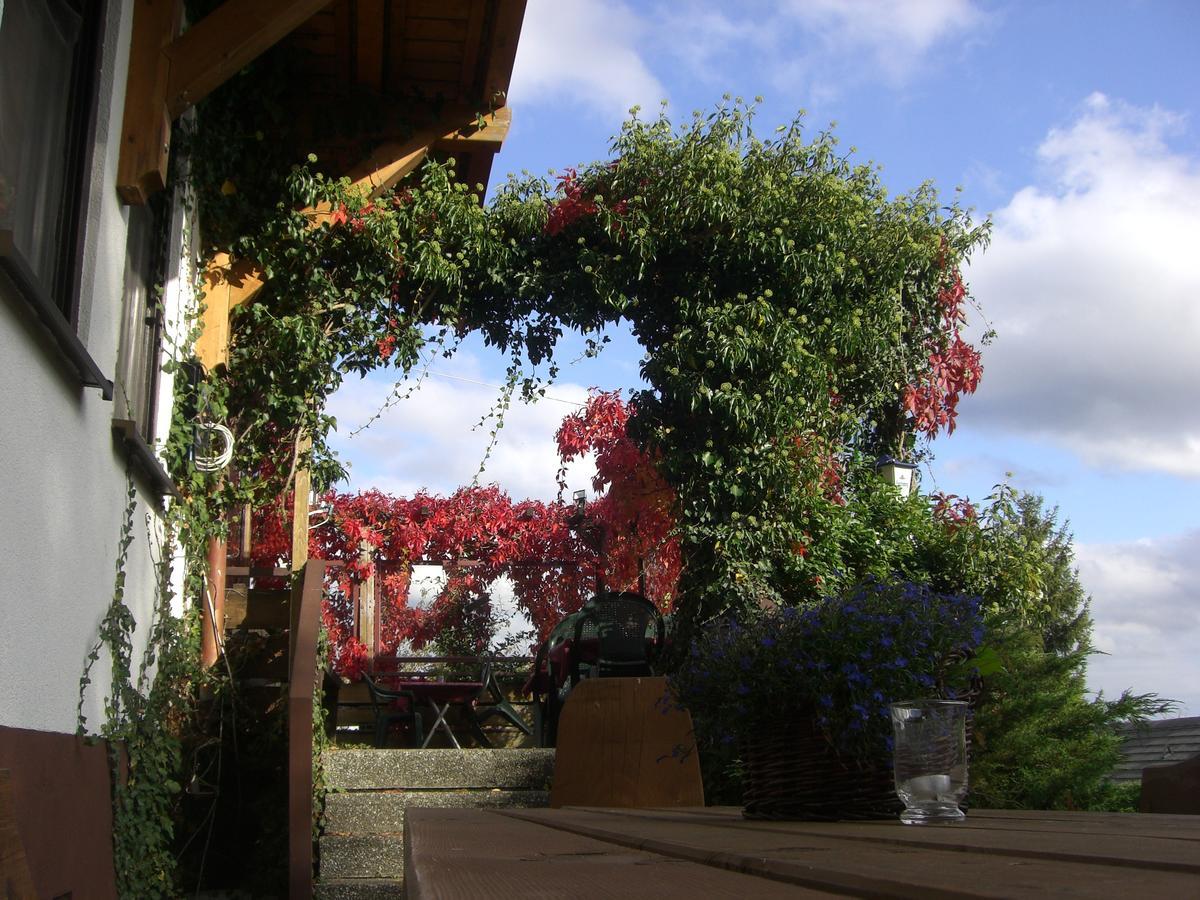 Hotel Dachsberger-Hof Wittenschwand Exterior photo